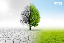 Im linken Bild vertrockneter Boden und der Baum ist ohne Blätter, rechts im Bild grüne Wiese und ein Baum voller Blätter. Darüber geschrieben: Online Umfrage zu Klimawandel und Psyche
